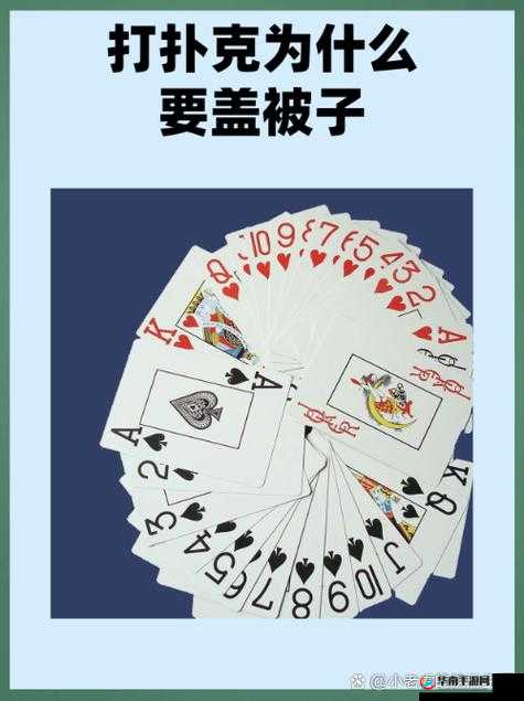 打扑克不盖被子：一种独特的行为习惯引发的思考