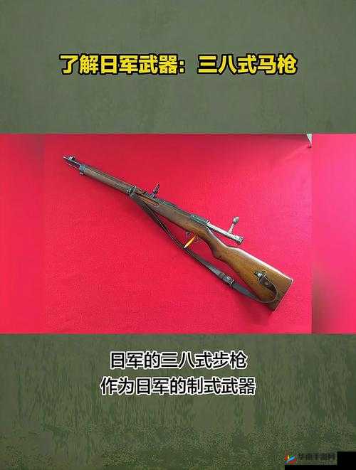 暴躁老阿姨最强武器推荐：那些不容错过的利器