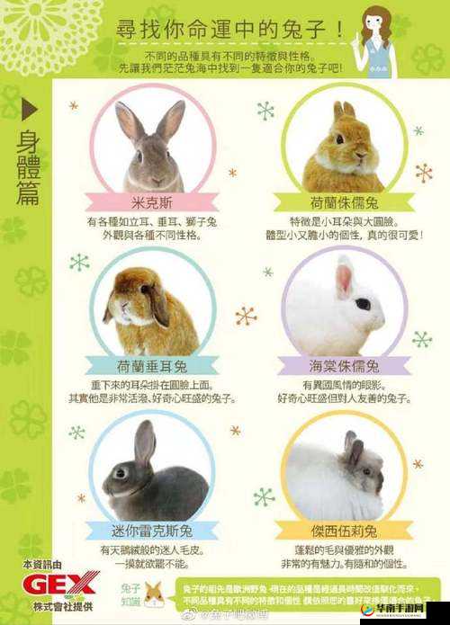 尺寸 po 长耳兔:关于它的详细介绍与特点分析