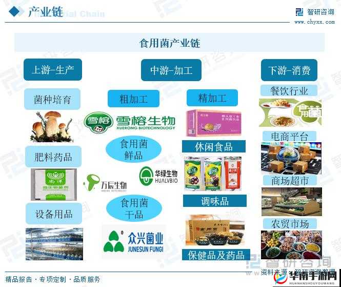 精产国蘑菇品一二三产品区：从种植到销售的全产业链