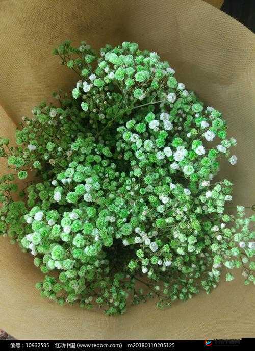 私人航空 2018 满天星美版之详细介绍与独特魅力展现