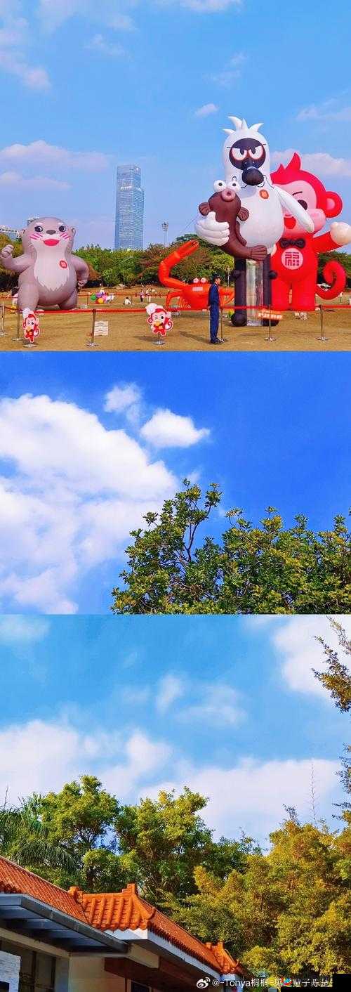 桐桐桐桐铜铜深色：一场色彩斑斓的奇妙之旅