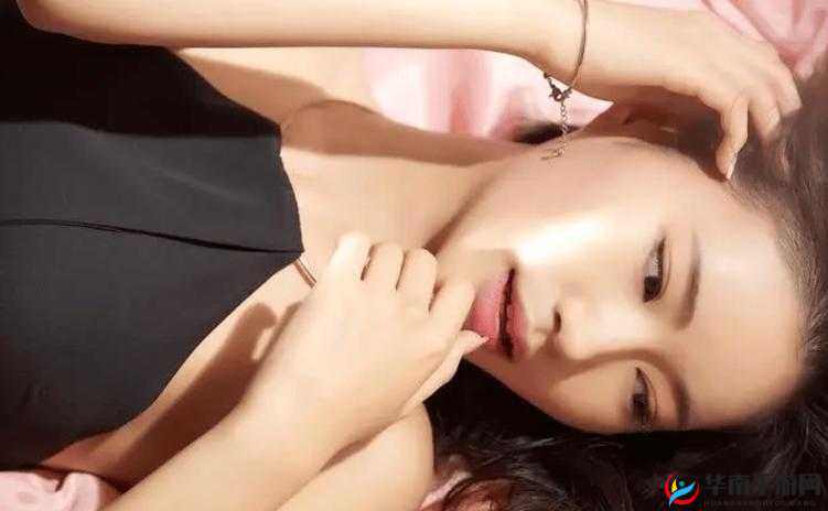 亚洲黄色无码网址：挑战道德和法律底线的不良网站