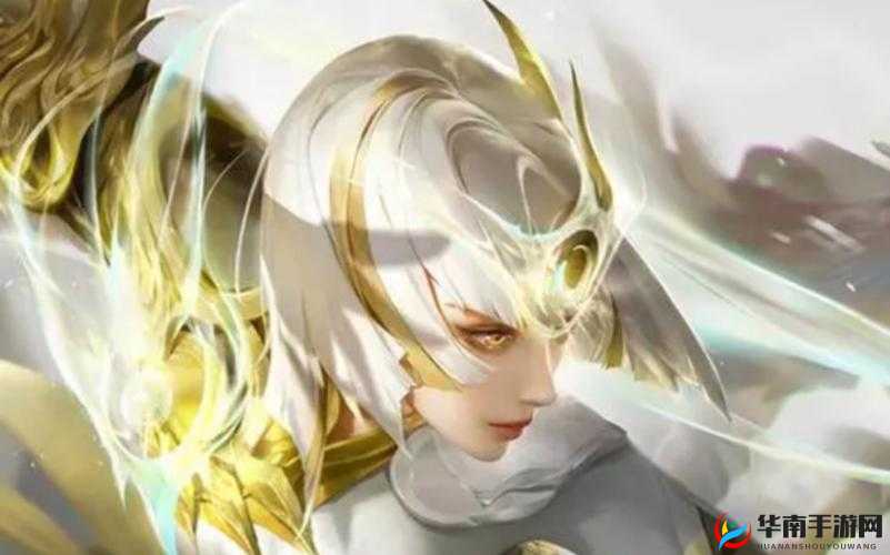 王者荣耀镜无小内无爱心图片：关于其的深入探讨与解析