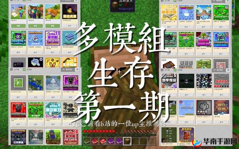 毛片 app：探索未知的私密世界