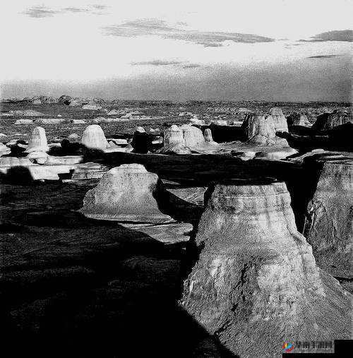 中国无码：展现独特魅力与精彩世界的影像呈现