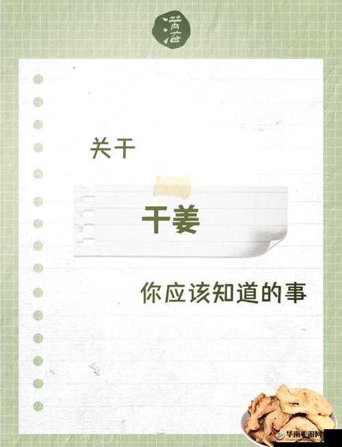 porin181719 相关研究：深入探索其奥秘与作用