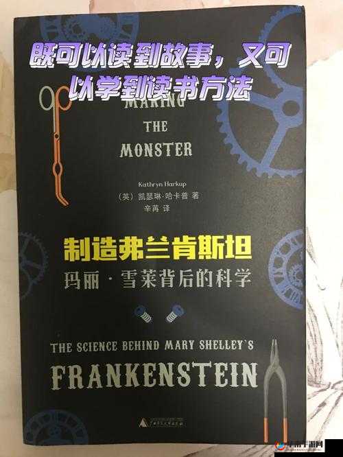 欧美怡春院：探寻那独特的风情与故事