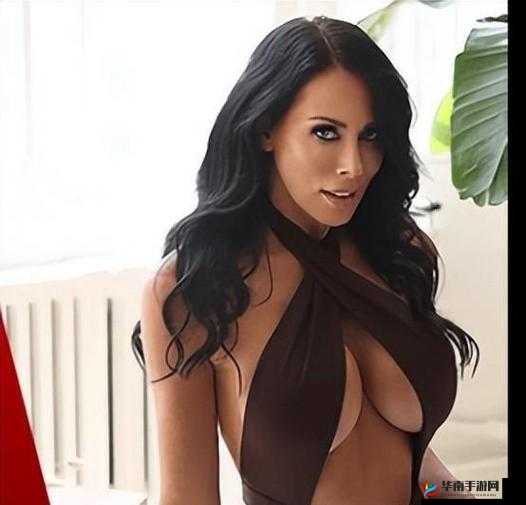 REAGANFOXXHD 相关内容介绍及分析