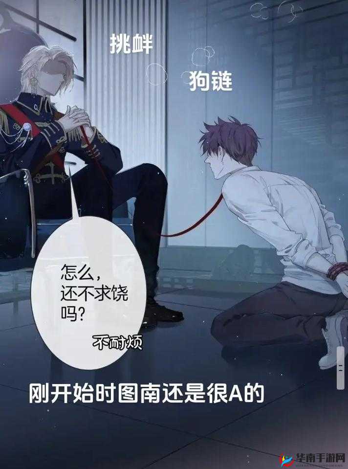 冷酷学霸和傲娇校霸的巅峰对决：谁是最后的王者