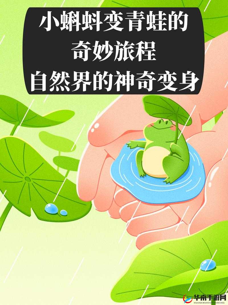 九色蝌蚪熟女:探索未知的奇妙旅程