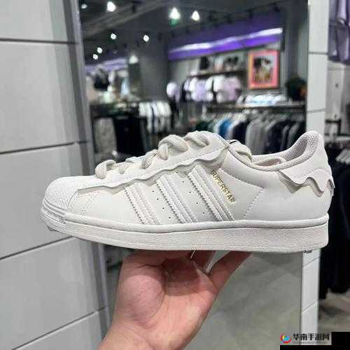 三叶草 gw4333：探索未知的神秘世界