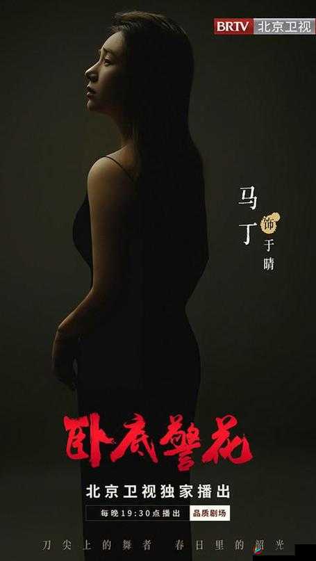 国产 A 级毛片久久久久久电视剧之精彩演绎