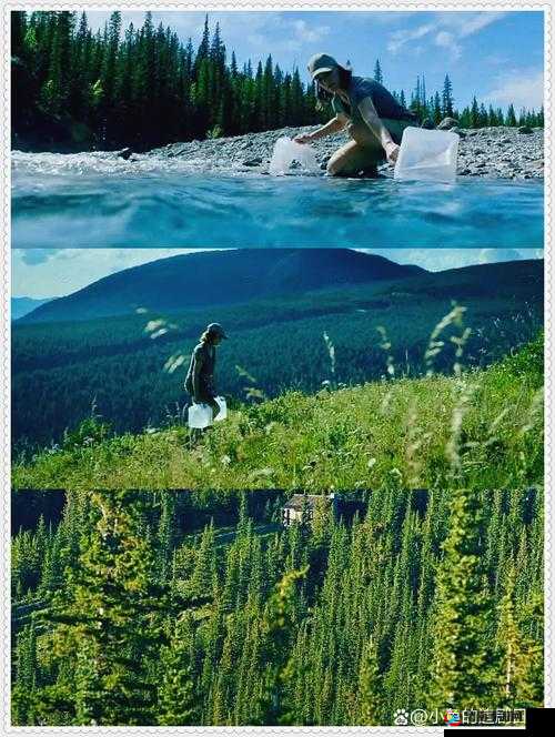 大地资源网中文在线观看精彩大片等你来享