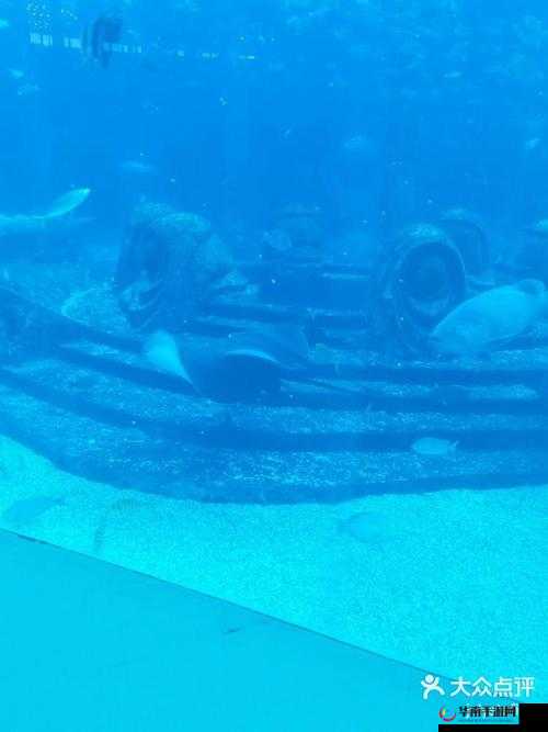 啊～嗯～我下水好多啦，那奇妙的水下体验