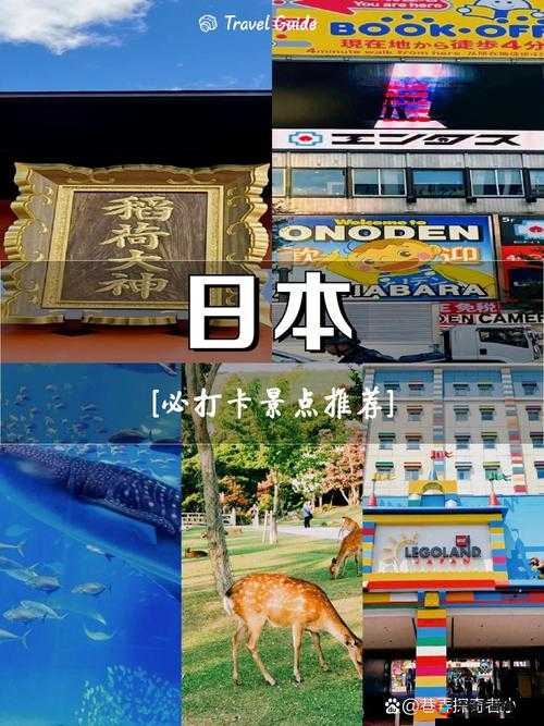 嗯啊日本的独特魅力与精彩探索