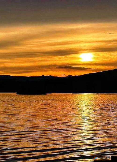 日韩高清无码高清资源畅享:极致视觉盛宴等你来