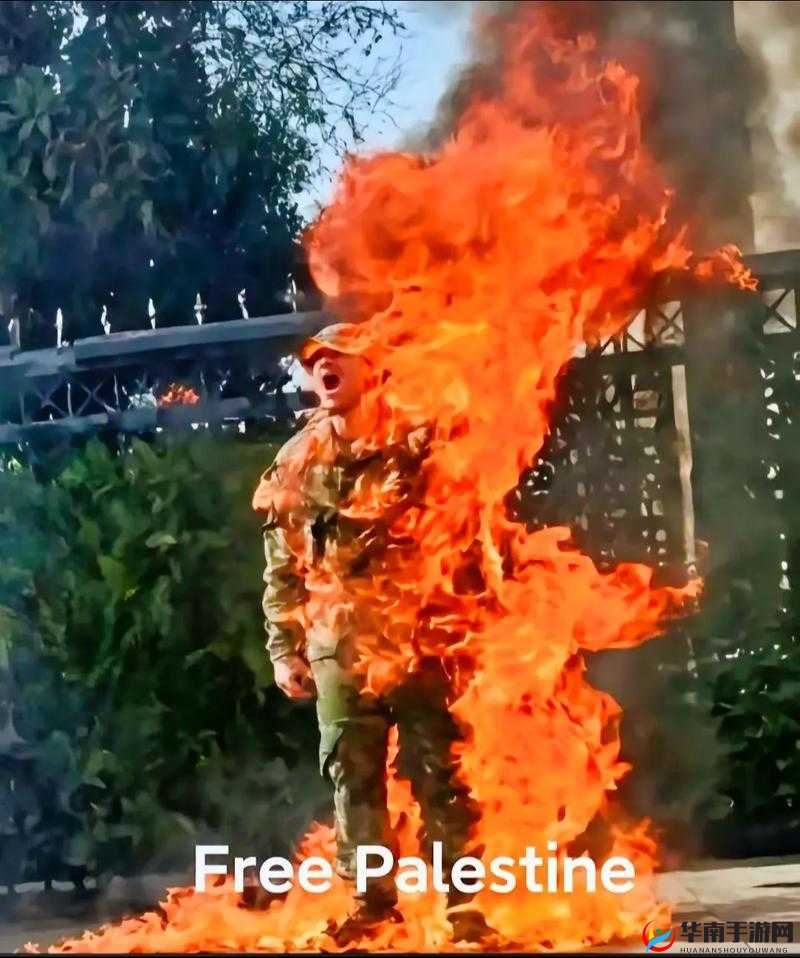 FreeHDXXXXMovies2024：呈现精彩绝伦的影视世界