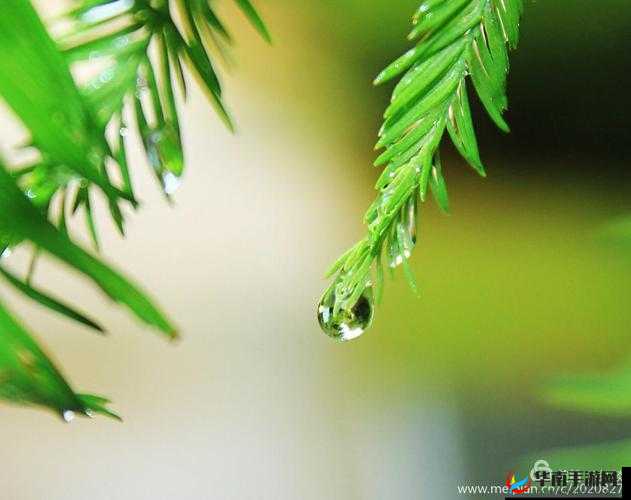 MM1314爽爽：带你领略不一样的精彩世界