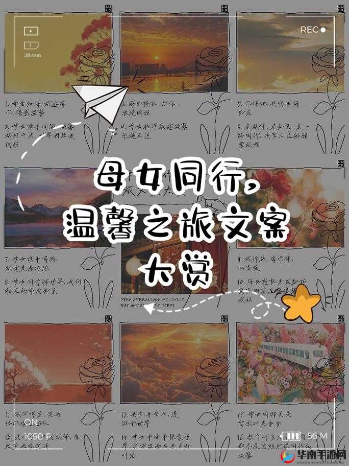 97 爱爱 ：开启浪漫温馨之旅 绽放绚烂情感之花