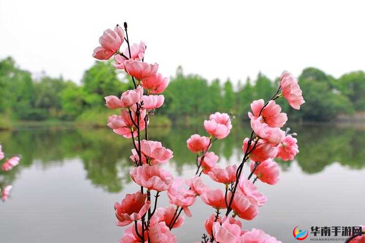 一处桃源千人品，两片红唇万客来：世外桃源的魅力与诱惑