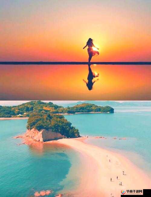 JJZZ JJZZ 仙林密踪：探寻神秘之地的奇妙之旅