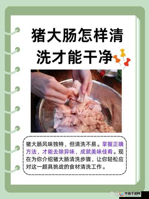 小扫货怎么能夹：探索其背后的独特技巧与策略