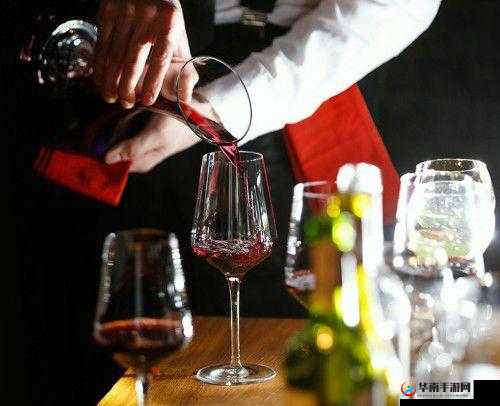 别到红酒了装不下了 1V2:极致激情碰撞盛宴