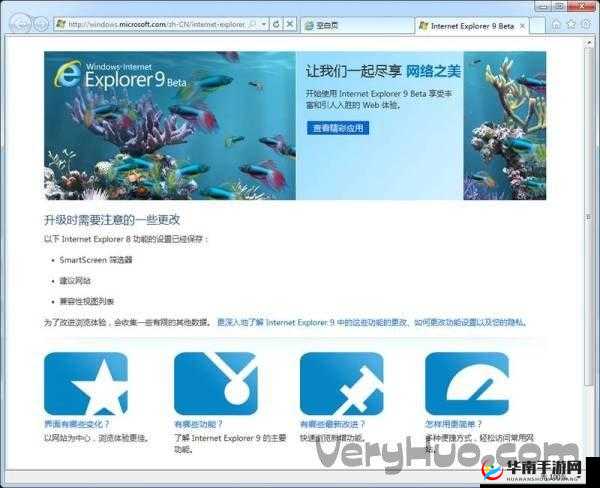 ie9 浏览器下载手机版:便捷工具,提升体验