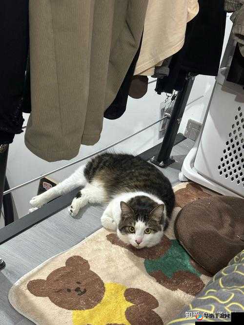 tai9 是一个非常独特且有意义的存在