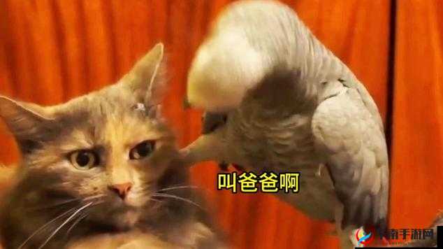 哎呦叫爸爸叫爹叫亲爹这到底是怎么一回事呢