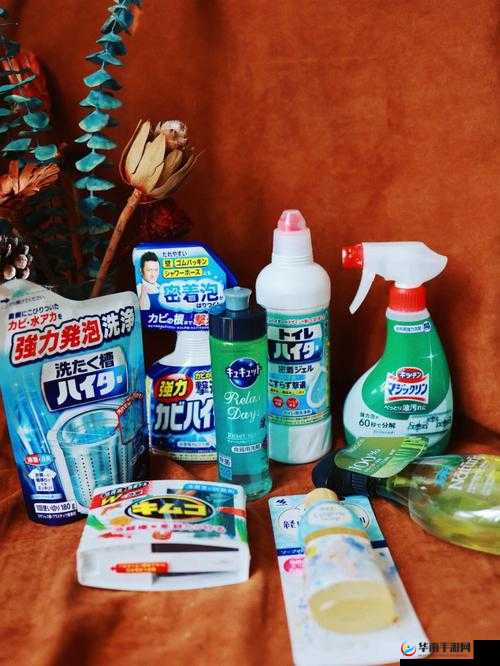 jjZZ 日本：探索日化的独特魅力