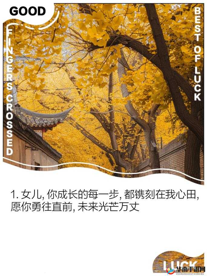 一个感人至深的瞬间：爸爸缓慢而有力地将女儿送上新的人生旅程