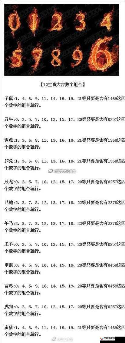 www.69：一个神奇而特别的数字组合相关内容探讨