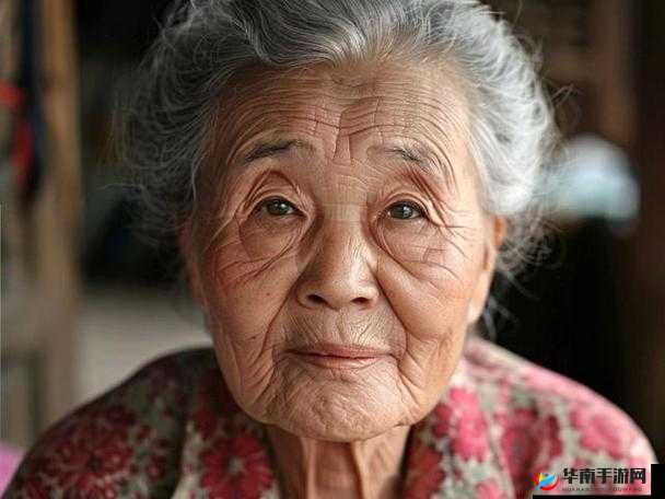 中国老太太 BBVBBⅤ：其背后的故事与独特经历