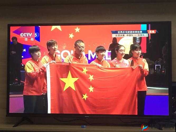 cctv5 直播在线观看：畅享体育盛宴