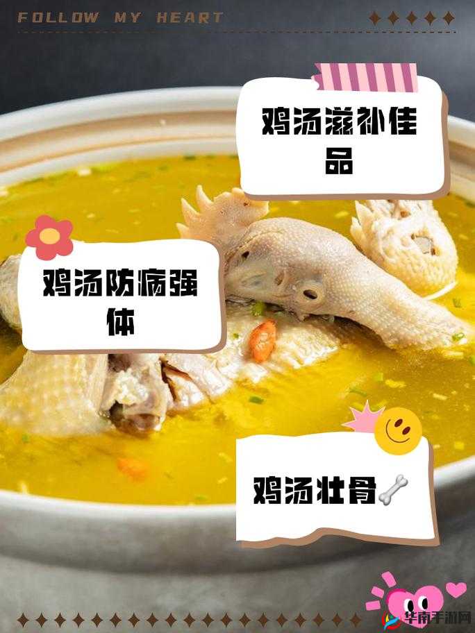 吃男性鸡：传统食疗的奥秘，男人的滋补佳品