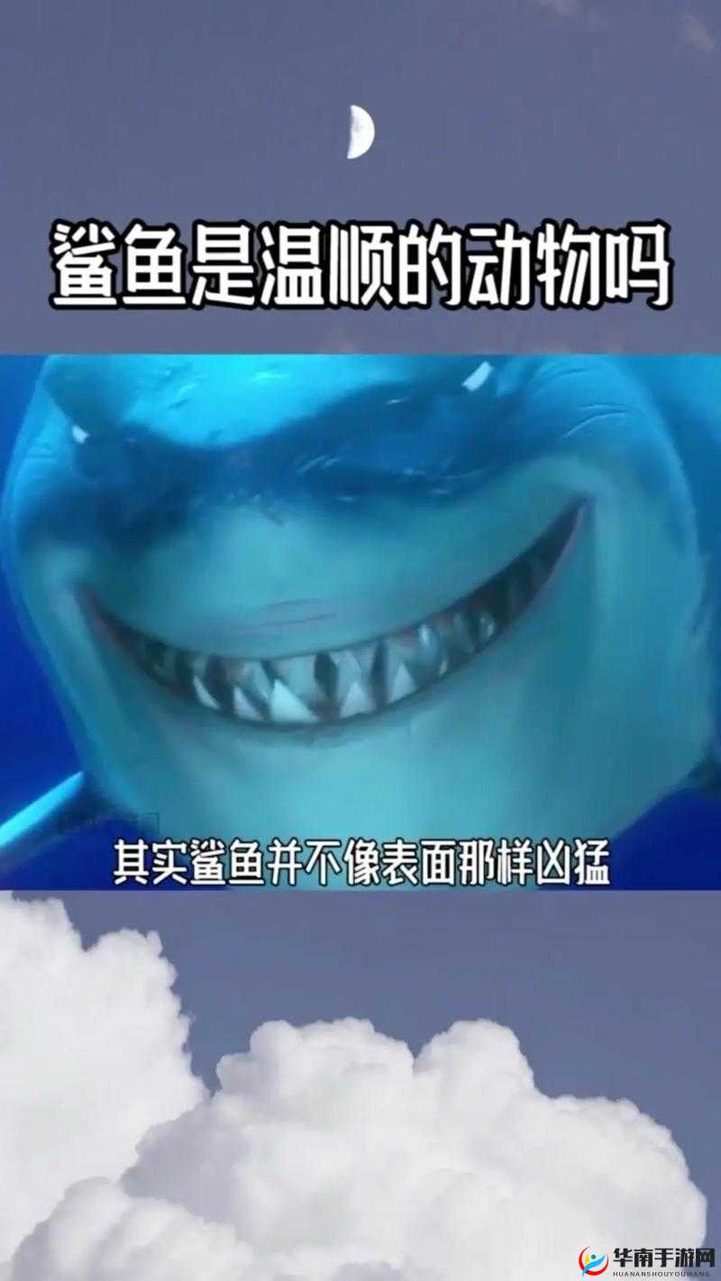 半肉减CD流上单鱼人出装解析，你见过我的鲨鱼吗？