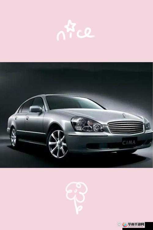 国产日产亚系列精品版优势：全面展现其独特之处与卓越性能