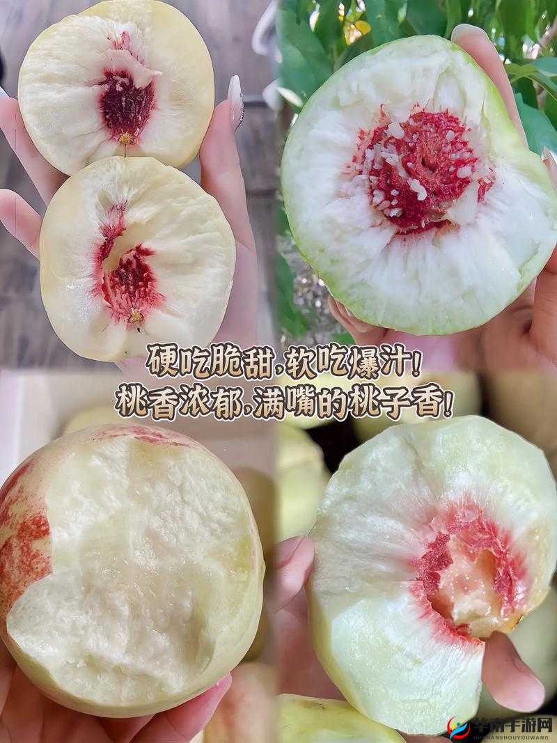 快灬快灬一下爽蜜桃:让您尽享蜜桃般的清甜与舒爽