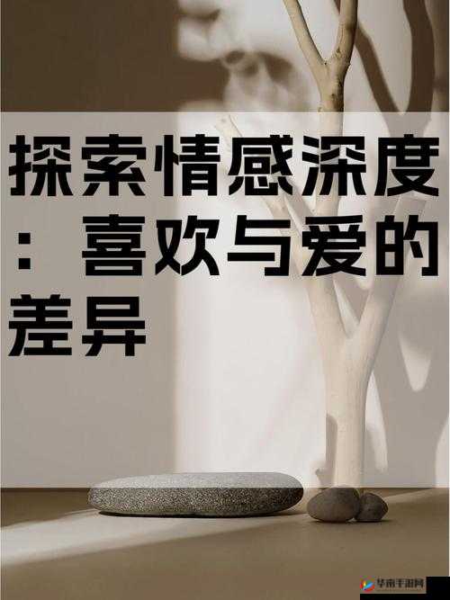 男生女生一起差差差：探索未知的情感世界