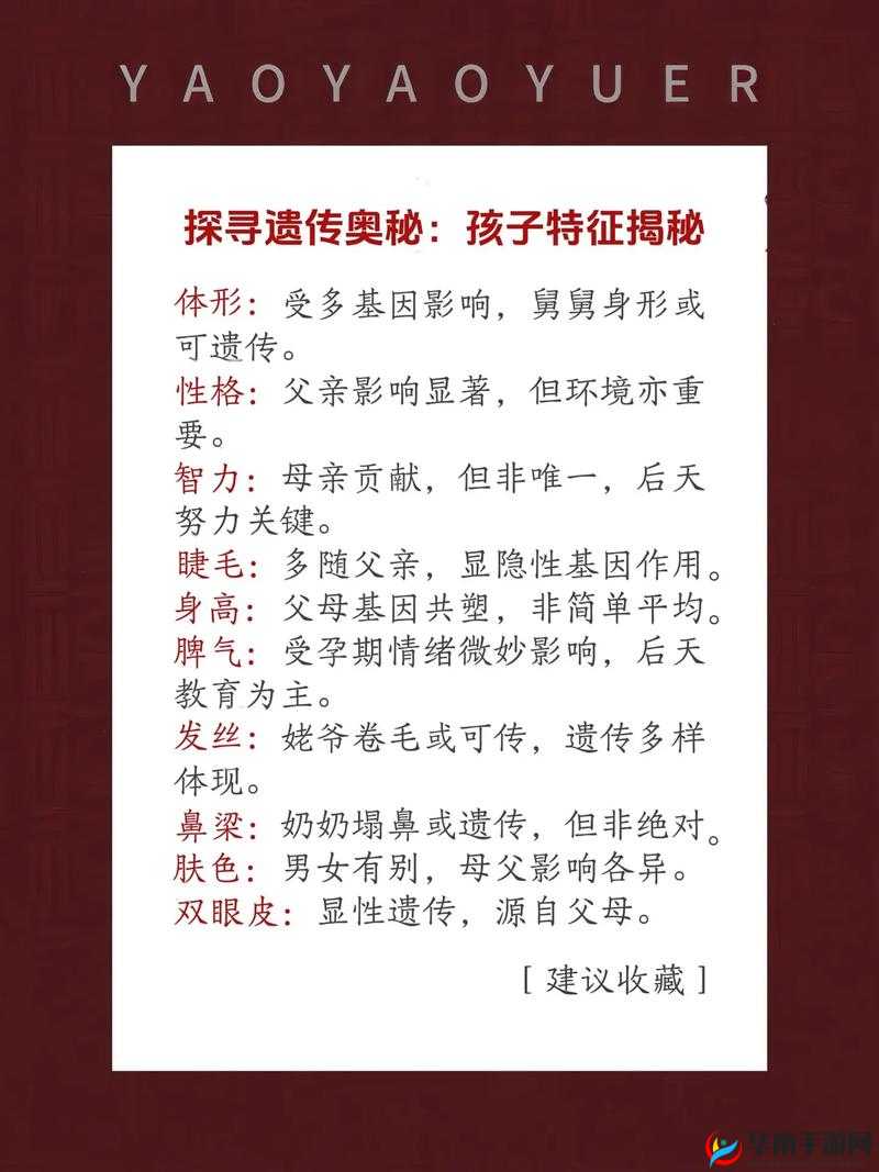 WX 与 WX 性状杂交：探索遗传奥秘与潜在应用价值