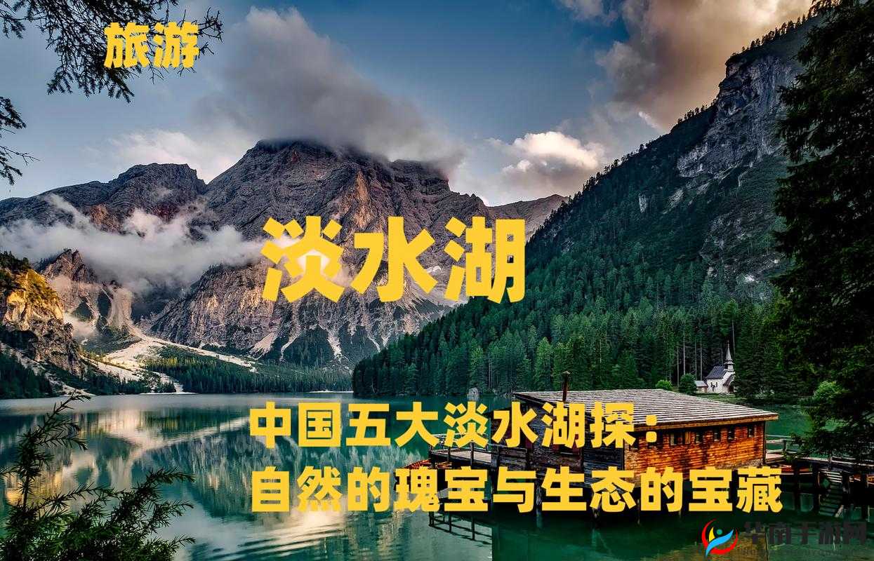 大地资源国精产品视频：揭秘大自然的瑰宝