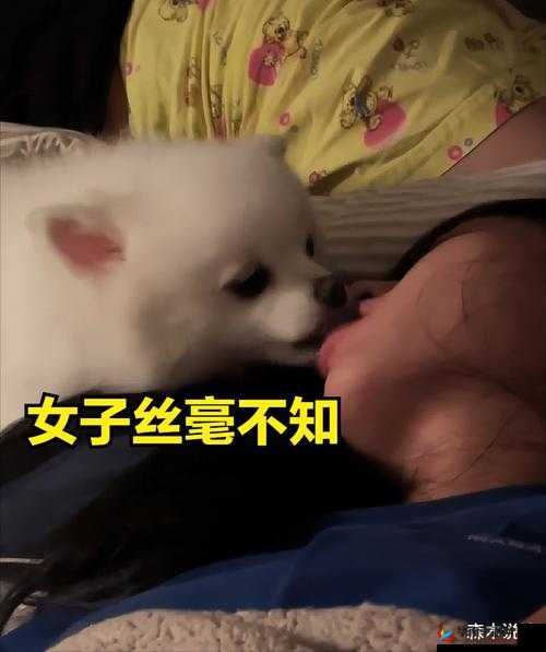 女人醉酒后与公狗发生关系的全过程