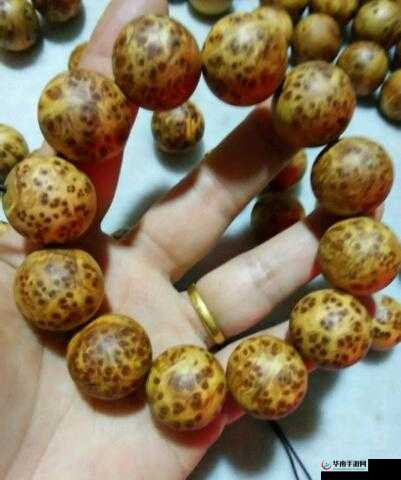 把佛珠一个一个挤出去啊哈：这是一种独特的行为方式