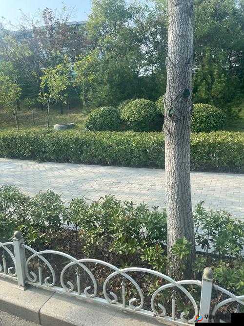 外勤中突然下雨麻妃番外篇怎么看：雨中探寻别样精彩