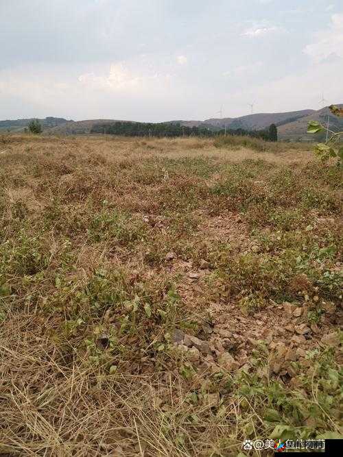 以开垦老师肥沃的土地为题，重新生成一个