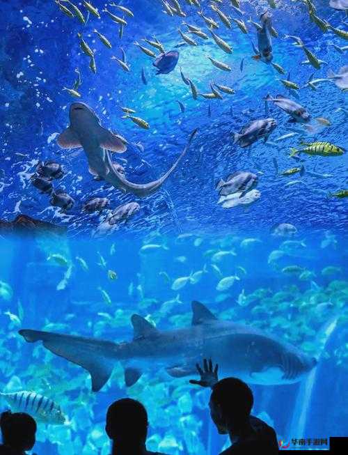 锕锵锵锵铜铜铜铜好多水——奇妙的水世界探秘