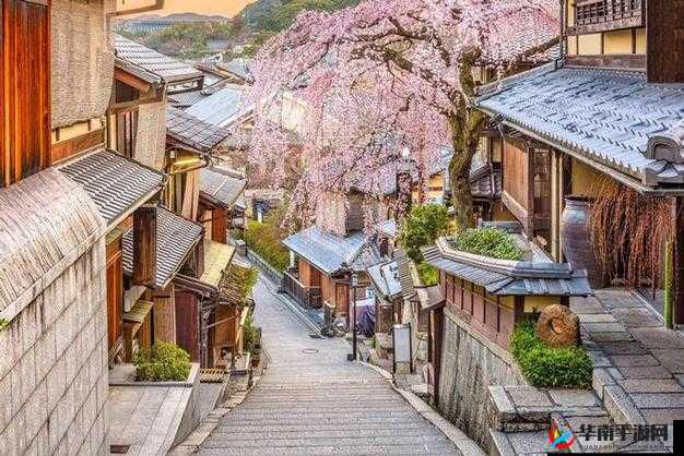 日本乡下独特现象:众多亲近相尾换伴之缘由探究