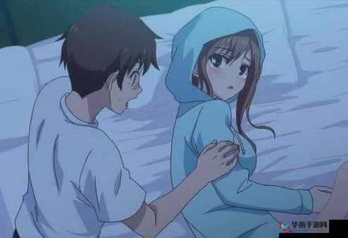 overflow 樱花动漫免费观看：一场视觉与情感的盛宴